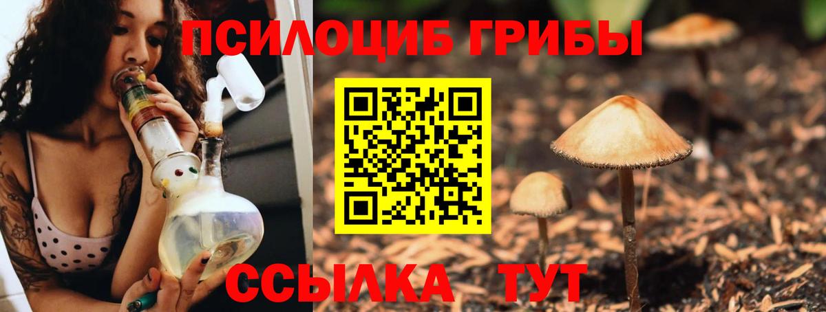 Озёрск  Галлюциногенные грибы Magic Shrooms  Вход с VPN 